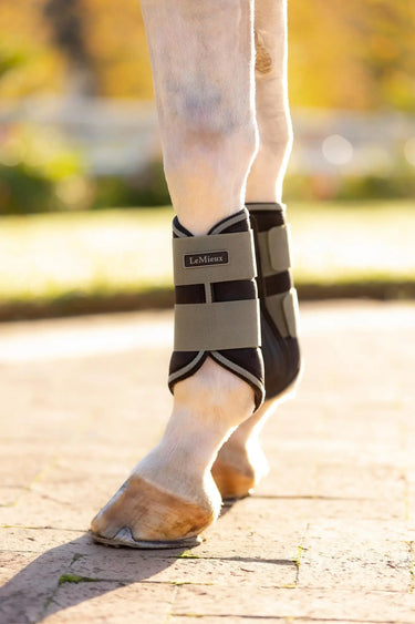 LeMieux Grafter Brushing Boots Rosemary| Online For Equine