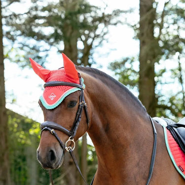 LeMieux Harlow Fly Hood Coral Crush| Online For Equine