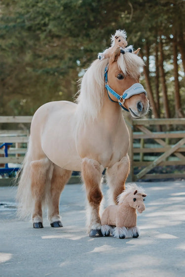 LeMieux Harlow Tiny Beanie Pony Popcorn| Online For Equine