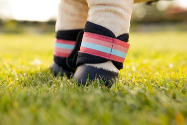 LeMieux Harlow Toy Pony Grafter Boots Coral Crush| Online For Equine
