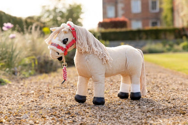 LeMieux Harlow Toy Pony Headcollar & Leadrope Coral Crush| Online For Equine