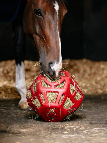 LeMieux Hay Ball Chilli| Online For Equine
