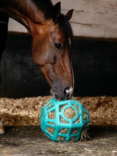 LeMieux Hay Ball Lagoon