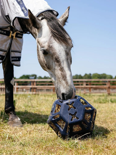 LeMieux Hay Ball Navy| Online For Equine