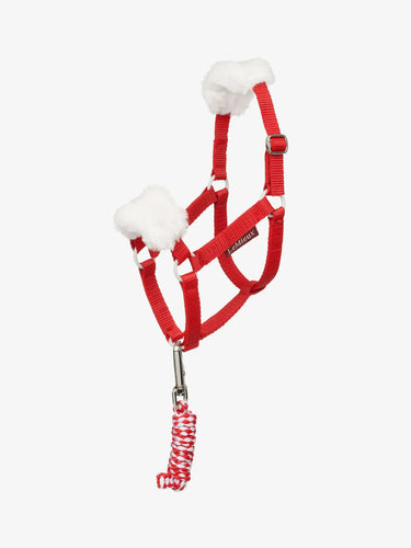 LeMieux Hobby Horse Christmas Headcollar & Leadrope Red| Online For Equine