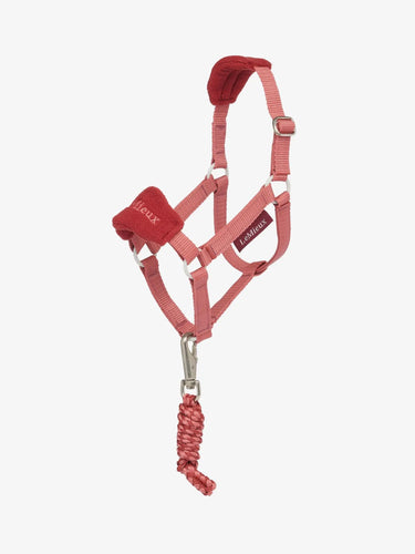 LeMieux Hobby Horse Vogue Headcollar & Leadrope Spiced Earth| Online For Equine