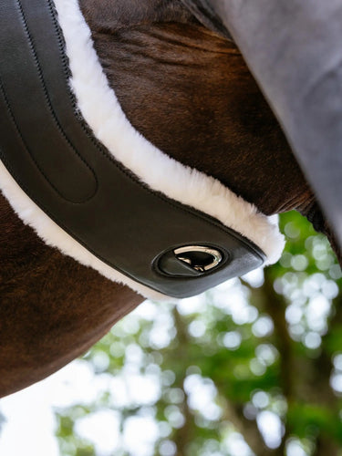 LeMieux Hunter Girth with Detachable Merino+ Liner Black| Online For Equine