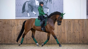 LeMieux Hunter Green Loire Classic Dressage Square| Online For Equine