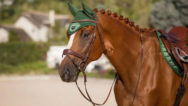 LeMieux Hunter Green Loire Fly Hood| Online For Equine