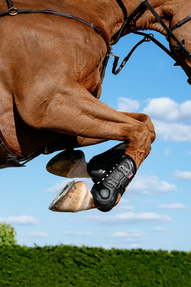 LeMieux Impact Pro Tendon Boot Black| Online For Equine