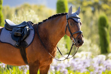 LeMieux Jay Blue Classic Fly Hood - X Large| Online For Equine