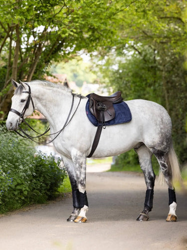 Buy LeMieux Jump Work Pad Navy-Large-Navy| Online for Equine