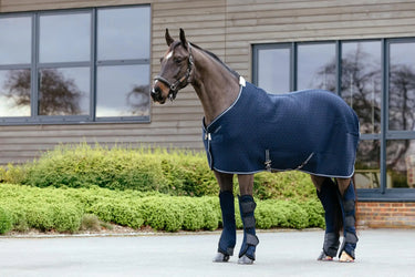 LeMieux Kudos 3D Mesh Travel Rug Navy| Online For Equine