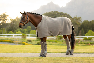 LeMieux Kudos 3D Mesh Travel Rug Pecan| Online For Equine