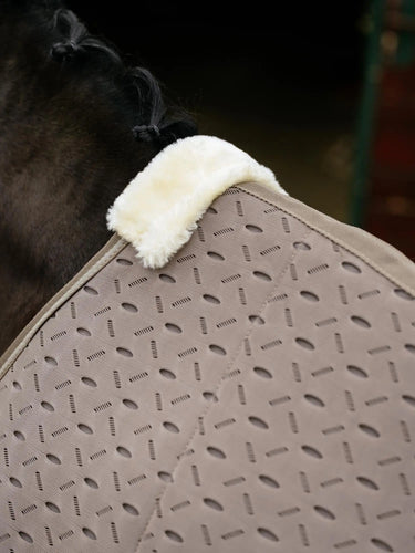 LeMieux Kudos 3D Mesh Travel Rug Pecan| Online For Equine