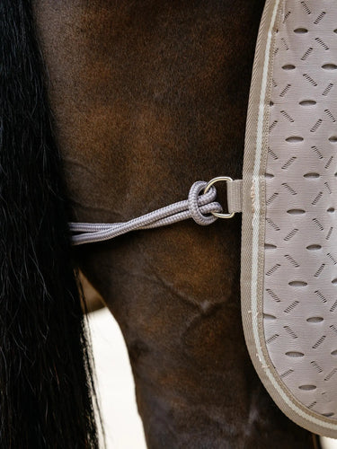 LeMieux Kudos 3D Mesh Travel Rug Pecan| Online For Equine