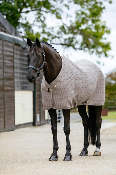 LeMieux Kudos 3D Mesh Travel Rug Pecan| Online For Equine