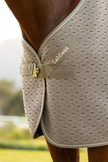 LeMieux Kudos 3D Mesh Travel Rug Pecan| Online For Equine