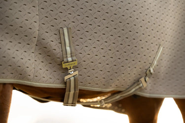 LeMieux Kudos 3D Mesh Travel Rug Pecan| Online For Equine