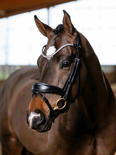 LeMieux Kudos Anatomic Dressage Bridle Black| Online For Equine