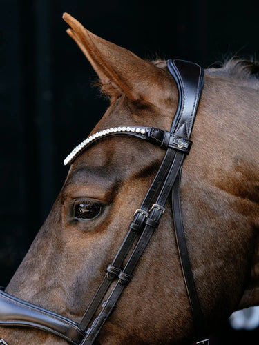 LeMieux Kudos Anatomic Dressage Bridle Brown| Online For Equine