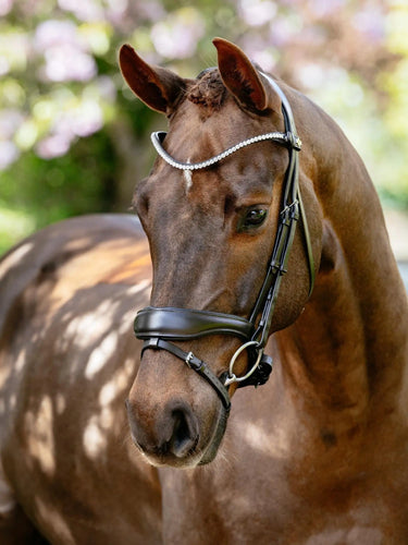 LeMieux Kudos Anatomic Dressage Bridle Brown| Online For Equine