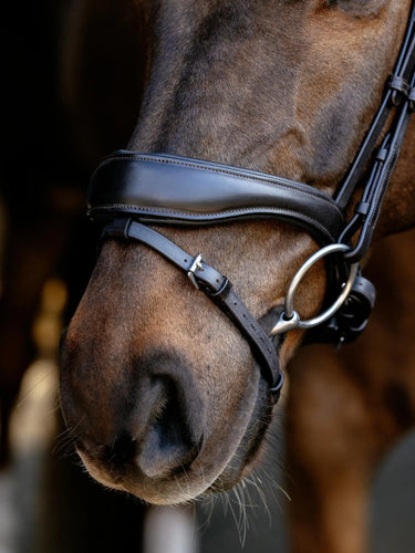 LeMieux Kudos Anatomic Dressage Bridle Brown| Online For Equine