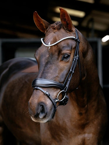 LeMieux Kudos Anatomic Dressage Bridle Brown| Online For Equine