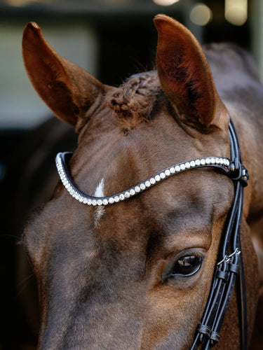 LeMieux Kudos Anatomic Dressage Bridle Brown| Online For Equine