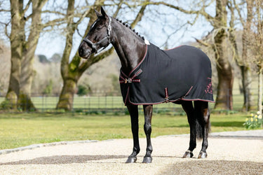 LeMieux Kudos Bamboo Cooler Black| Online For Equine