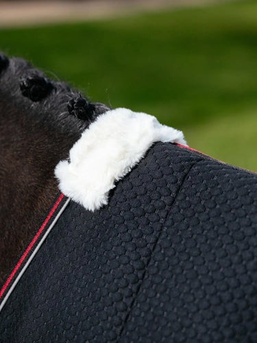 LeMieux Kudos Bamboo Cooler Black| Online For Equine