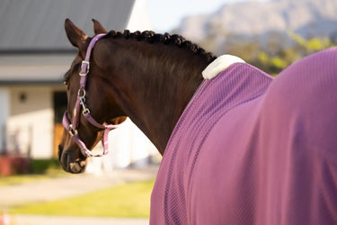 LeMieux Kudos Bamboo Cooler Mallow| Online For Equine