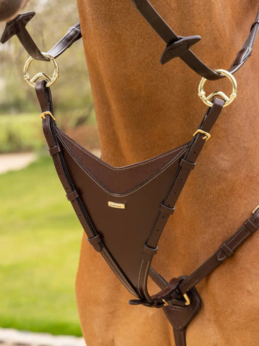 Buy Digby & Fox Bandana | Online for Equine