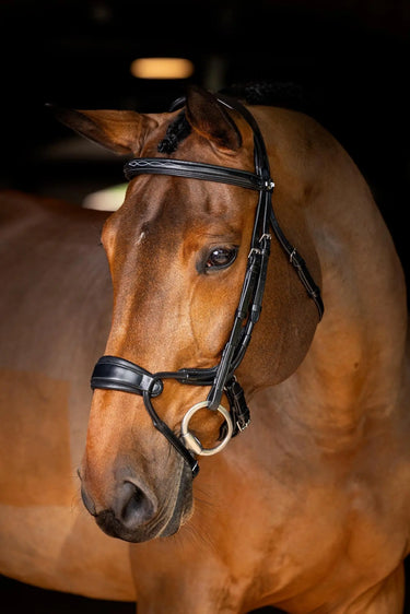 LeMieux Kudos Clear Arc Bridle Black/Silver| Online For Equine