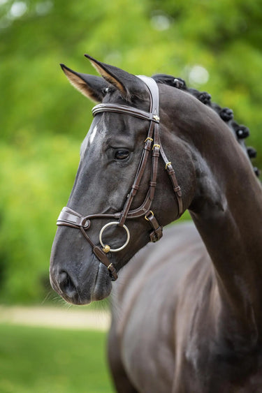 LeMieux Kudos Clear Arc Bridle Havana/Brass| Online For Equine