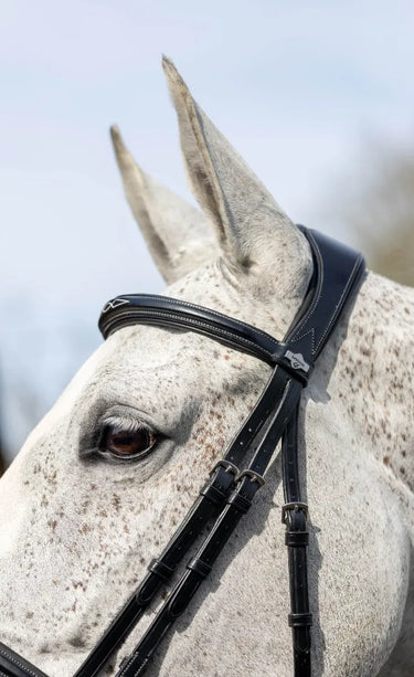 Buy LeMieux Kudos Competition Black Flash Bridle| Online for Equine