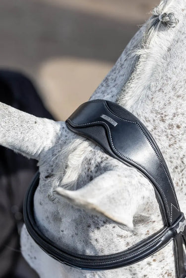 Buy LeMieux Kudos Competition Black Flash Bridle| Online for Equine