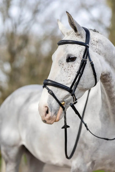 Buy LeMieux Kudos Competition Black Flash Bridle| Online for Equine
