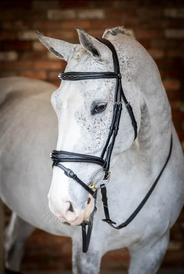 Buy LeMieux Kudos Competition Black Flash Bridle| Online for Equine