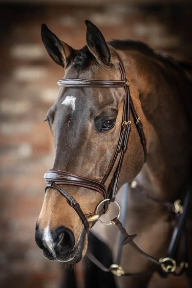 Buy LeMieux Kudos Competition Havana Flash Bridle | Online for Equine