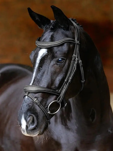 LeMieux Kudos Contour Flash Bridle Black| Online For Equine