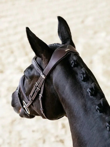 LeMieux Kudos Contour Flash Bridle Brown| Online For Equine