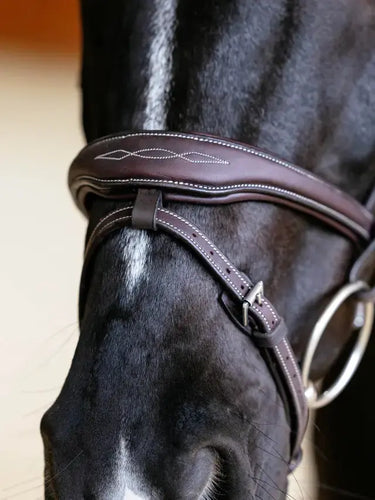 LeMieux Kudos Contour Flash Bridle Brown| Online For Equine