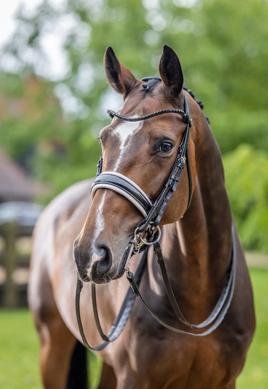LeMieux Kudos Double Bridle Black/White| Online For Equine
