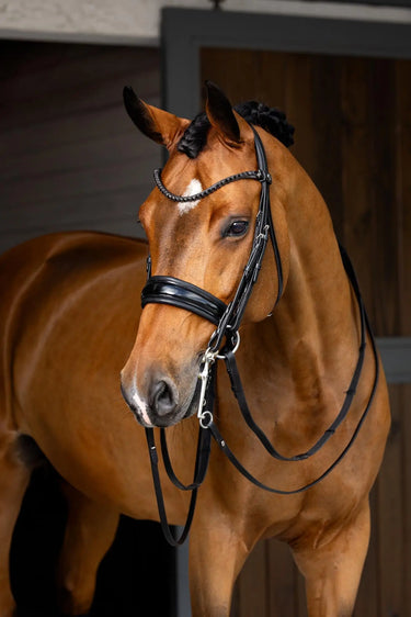 LeMieux Kudos Double Bridle Black| Online For Equine