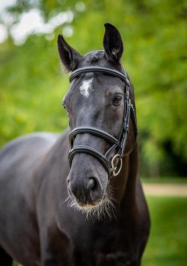 LeMieux Kudos Double Noseband Bridle Black/Silver| Online For Equine