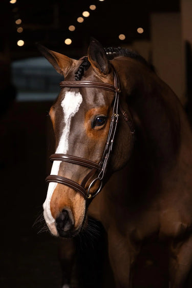 LeMieux Kudos Double Noseband Bridle Havana/Brass| Online For Equine