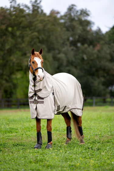 LeMieux Kudos Field Rug Stone| Online For Equine