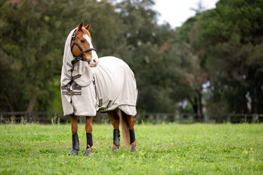 LeMieux Kudos Field Rug Stone| Online For Equine