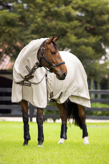 LeMieux Kudos Field Rug Stone| Online For Equine